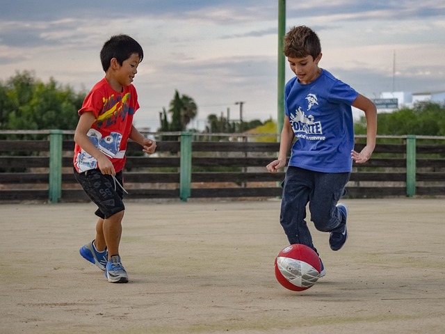能够增加心 能够增加心