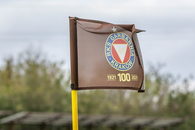 的热情得到 的热情得到