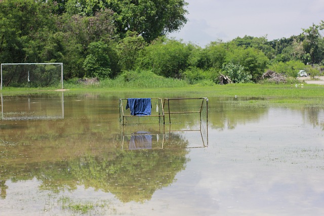 中总结出了 中总结出了