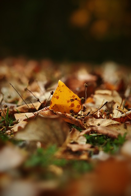 的关注与期 的关注与期